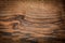 Natural Wood Patern Background Texture