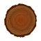 Natural wood tree circle ring isolated