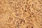 Natural wooden, corc crust a texture - closeup, beige background.