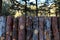 natural wooden fence of rough pieces of wood and forest on background