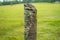 Natural Wooden Fencepost with Barbed Wire