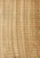 Natural wooden texture background. Eucalyptus wood