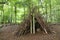 Natural Woodland Shelter.