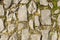 Natural yellow pavement stone for floor, wall or path