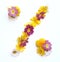 natural yellow pink flowers percent sign picked in spring