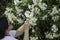 Naturalist watching the white oleander flowers