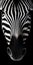 Naturalistic Zebra Head On Black Background: Perfect Mobile Lock Screen