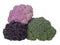 Naturally colourful vegetables, isolated on white. Raw cauliflower, broccoli and purple sprouting florets. Healthy