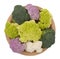 Naturally colourful vegetables on wooden plate, isolated on white. Assorted raw cauliflower, with broccoli florets