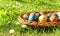 Naturally dyed Easter eggs in the basket on grass