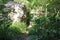 Naturally formed Mysterious caves near Serpent mound