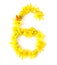 naturally freshly yellow flower green leaves bright shiny number six