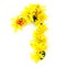 naturally freshly yellow flowers green leaf bright shiny number 1