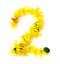 naturally freshly yellow flowers green leaf bright shiny number 2