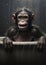 Nature africa wild chimpanzee wildlife mammals monkey animals primate face ape portrait endangered