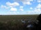 Nature along the Tram Road Trail to Shark Valley Observation Tower in Everglades National Park in Florida