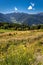 Nature in the andorra mountains