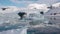 Nature of Antarctica. Icebergs against the background of mountains.Climate Change and Global Warming - Icebergs from