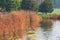 Nature autumn view of lake with bright beige reeds along the shore