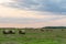 Nature background. Bales of straw on the autumn meadow during wonderful sunset times