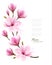 Nature background with blossom branch of pink magnolia.