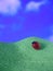 Nature background with bright Ladybug on a green leaf with water drops against sky background. Close up image with
