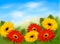 Nature background with colorful beautiful flowers