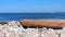 Nature background with driftwood log on pebble sea beach at sunny day.