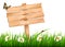 Nature background with green grass and flowers and wooden sign