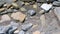 Nature background with grey lbig and small sea pebbles stones and water.