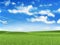 Nature background - meadow