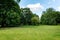 Nature background, park with meadow