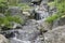 Nature background with view of traditional Japanese garden