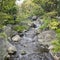 Nature background with view of traditional Japanese garden in Kanazawa, Japan