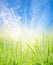 Nature background with young grass, blue sky and sun rays