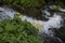 Nature.Beautiful yellow flowers and amazing waterfalls on the background