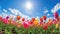 nature beauty spring background