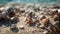 Nature beauty in a summer coastal vacation seashells and starfish generated by AI