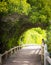 Nature Boardwalk