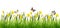 Nature border with fresh green grass, yellow narcissus flowers and butterflies