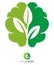 Nature Brain leaf logo