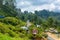 Nature breathtaking landscape of the island of Sri Lanka