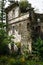 Nature captures the ruined house. House abandoned by people. Tkvarcheli