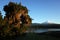 Nature of Chile. Spanish moss hanging from tree, Snowy cone of Villarrica volcano and lake Villarrica in evening light, Pucon