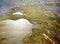 Nature in the city. Aerial shot of a wetlands surrounded by suburbs.