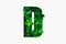 Nature concept alphabet of green leaves in alphabet letter D