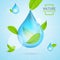 Nature Concept Transparent Purity Drop Water and Fly Green Leaves. Vector