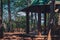 Nature coniferous mix deciduous forest park open view background. Gazebo gable green roof canopy, stone benches. Rain