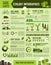 Nature conservation vector infographics template