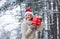 Nature covered snow. Winter outfit. New year. Merry christmas. Boxing day. Girl hold red gift box package. Winter